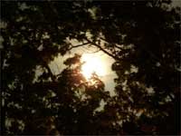 The Miraculous Moment, Nun Chiyono