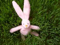 Giant Rabbit Seen From Space Giant Rabbit Seen From Space