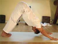 Adho Mukha Svanasana, Downward Facing Dog