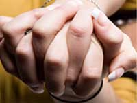 The Lessons From A Honeybee The Lessons From A Honeybee