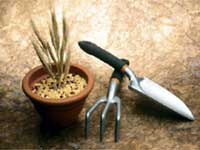 Garden Tools For Your Kids Garden Tools For Your Kids