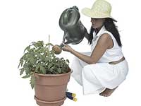 Zen story, Tekisui Zen story, Tekisui