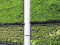 Vertical Gardens Vertical Gardens