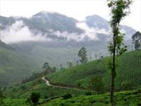 Farming-Latest Tourist Attraction Farming-Latest Tourist Attraction