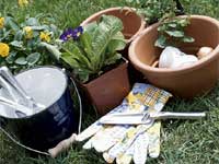 Zen Story, Working Hard Zen Story, Working Hard