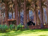 Guidance To Oasis Guidance To Oasis