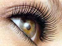 Tips to groom your eye lashes Tips to groom your eye lashes