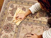 Stain Removal Stain Removal