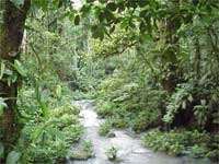 Prince charles Prince charles