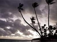 Zen Story, Walking on water Zen Story, Walking on water