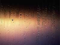 Silence, Buddhism Silence, Buddhism