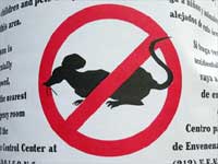 Rat Poison Rat Poison