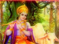 Krishna Flute Krishna Flute