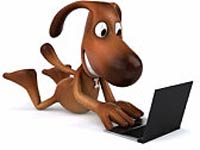 Pets on Facebook Pets on Facebook