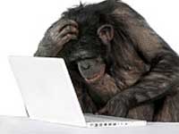 Male Behaviour Male Behaviour