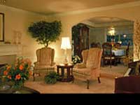 Aquatic Plants Aquatic Plants