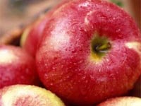 Apple Soup Apple Soup