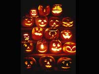 Pumpkin Carving Ideas Pumpkin Carving Ideas