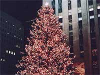 New York Christmas New York Christmas