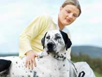 Natural Pet Care Natural Pet Care