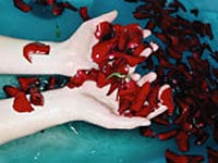 Natural Skin Toner Natural Skin Toner