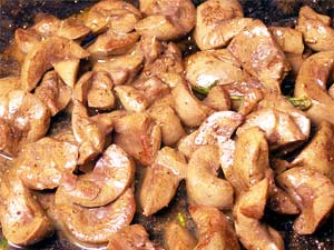 Junglee Mass Junglee Mass