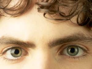 Men Eyebrow Men Eyebrow