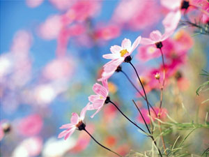 Toddler Talks Toddler Talks