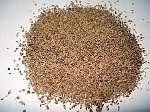 Health Benefits Ajwain Health Benefits Ajwain