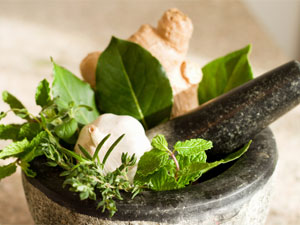 Herbs To Burn Fat Herbs To Burn Fat