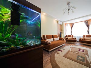 Home Fish Tanks Home Fish Tanks