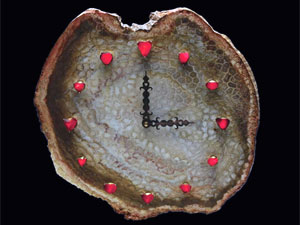 Valentines Day Gift Valentines Day Gift