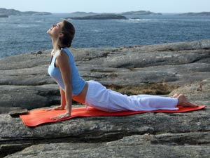 Surya Namaskar Surya Namaskar