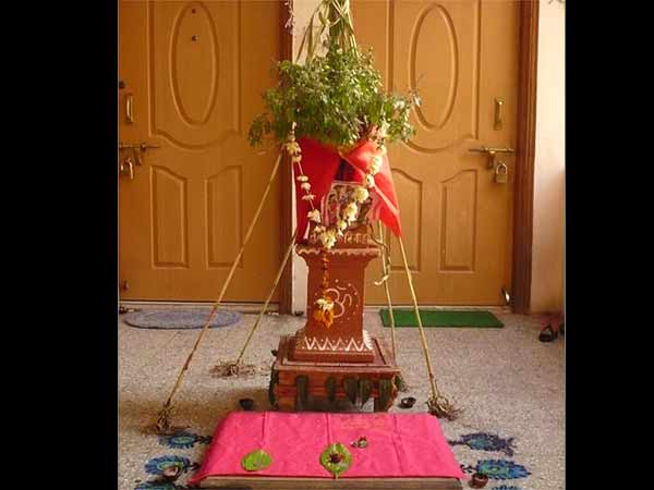 Holy Basil Holy Basil