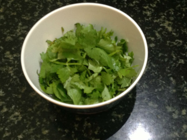 Coriander Leaves