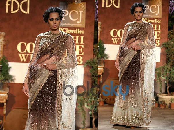 Sequined Saree