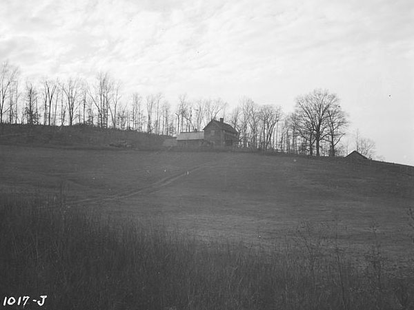 Bell Farm In Tennessee