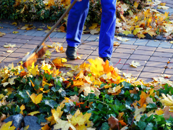 Tips For Cleaning Your Yard Tips For Cleaning Your Yard