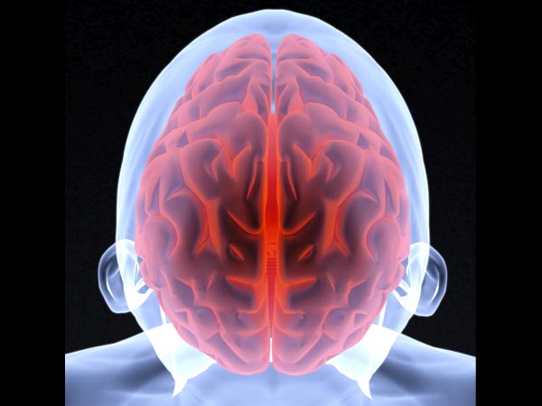 Effects Of Pornography On The Brain Effects Of Pornography On The Brain