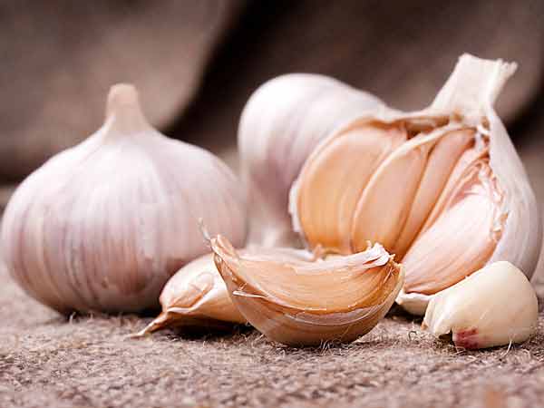 Have Raw Garlic
