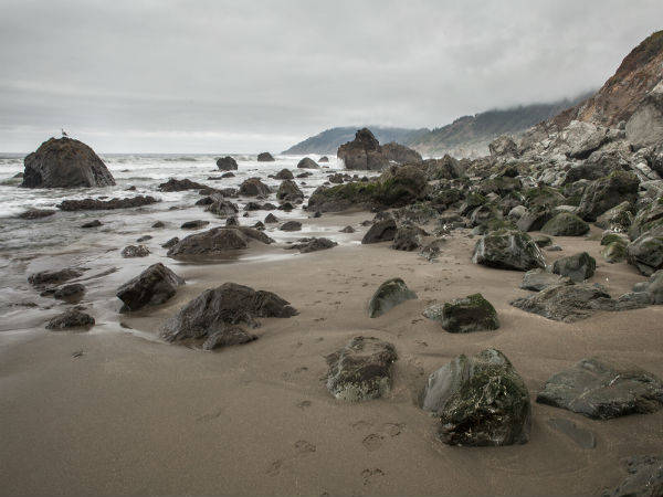 The Perpetual Tomorrow