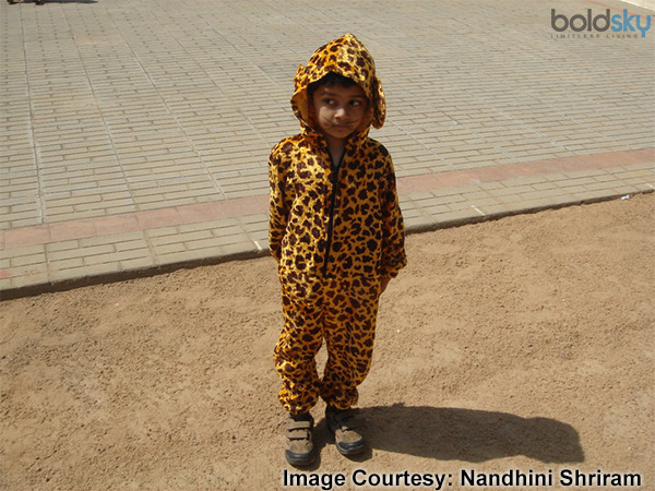 Cheetah On The Loose