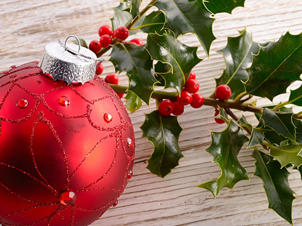 8 Simple Ideas To Decorate Office Cubicle For Christmas