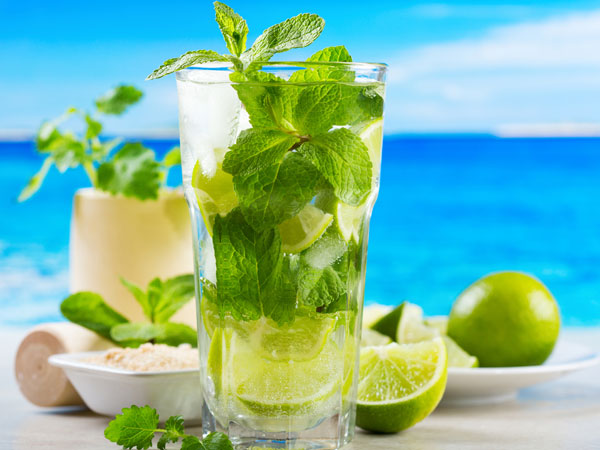 Mojito Mojito