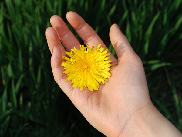 How To Make Your Wife Listen To You | relationship Tips