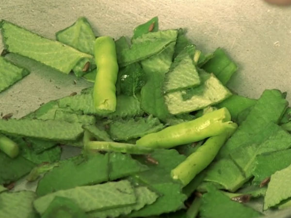 now add the green chillies to the pan and fry