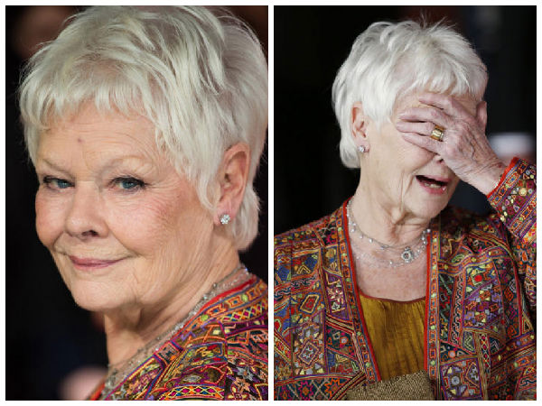 second best exotic marigold second best exotic marigold