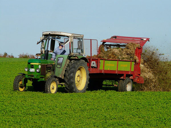 Simple Steps To Grow Blue Berries |6 Simple Steps To Grow Blue Berrie | Steps To Grow Blue Berries In Containers | Steps To Grow Blue Berries In Garden