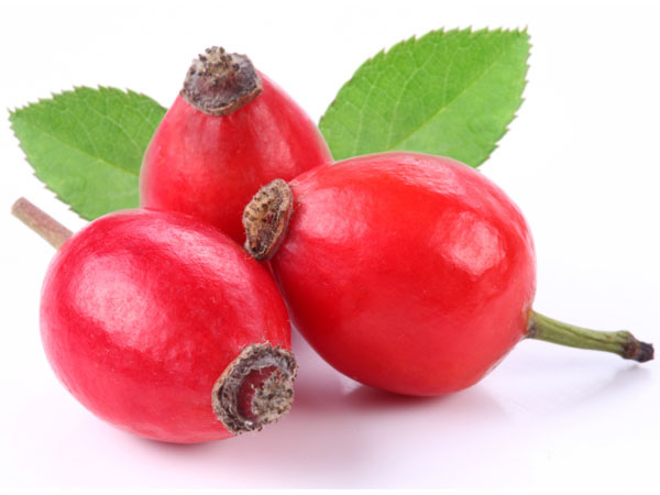 Rose Hip 