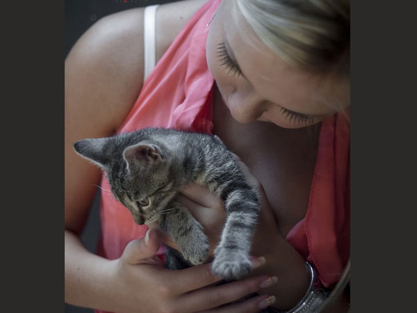 Ways To Calm Down Your Pet | Tips To Calm Your Pet | How To Calm Down Your Pet | Keep Your Pet Calm